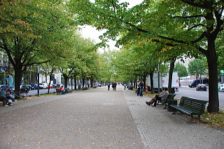 ベルリンの並木道