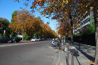 パリ 市街 紅葉
